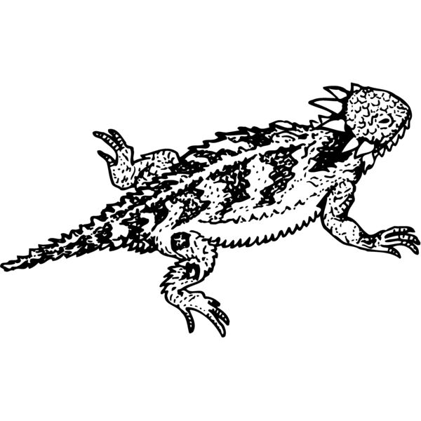 IGUANA01 Thumbnail