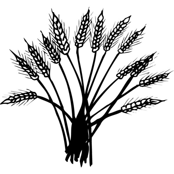 GRAIN015 Thumbnail