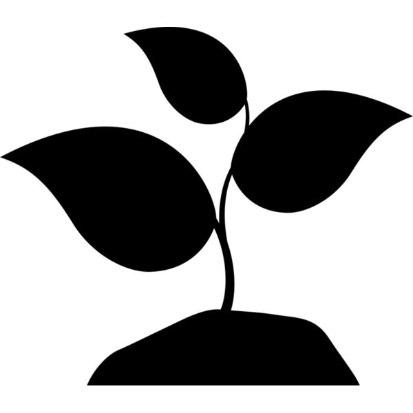 42 Plant Thumbnail