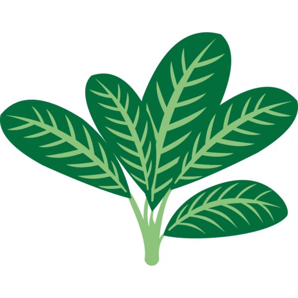 Plants 7 Thumbnail